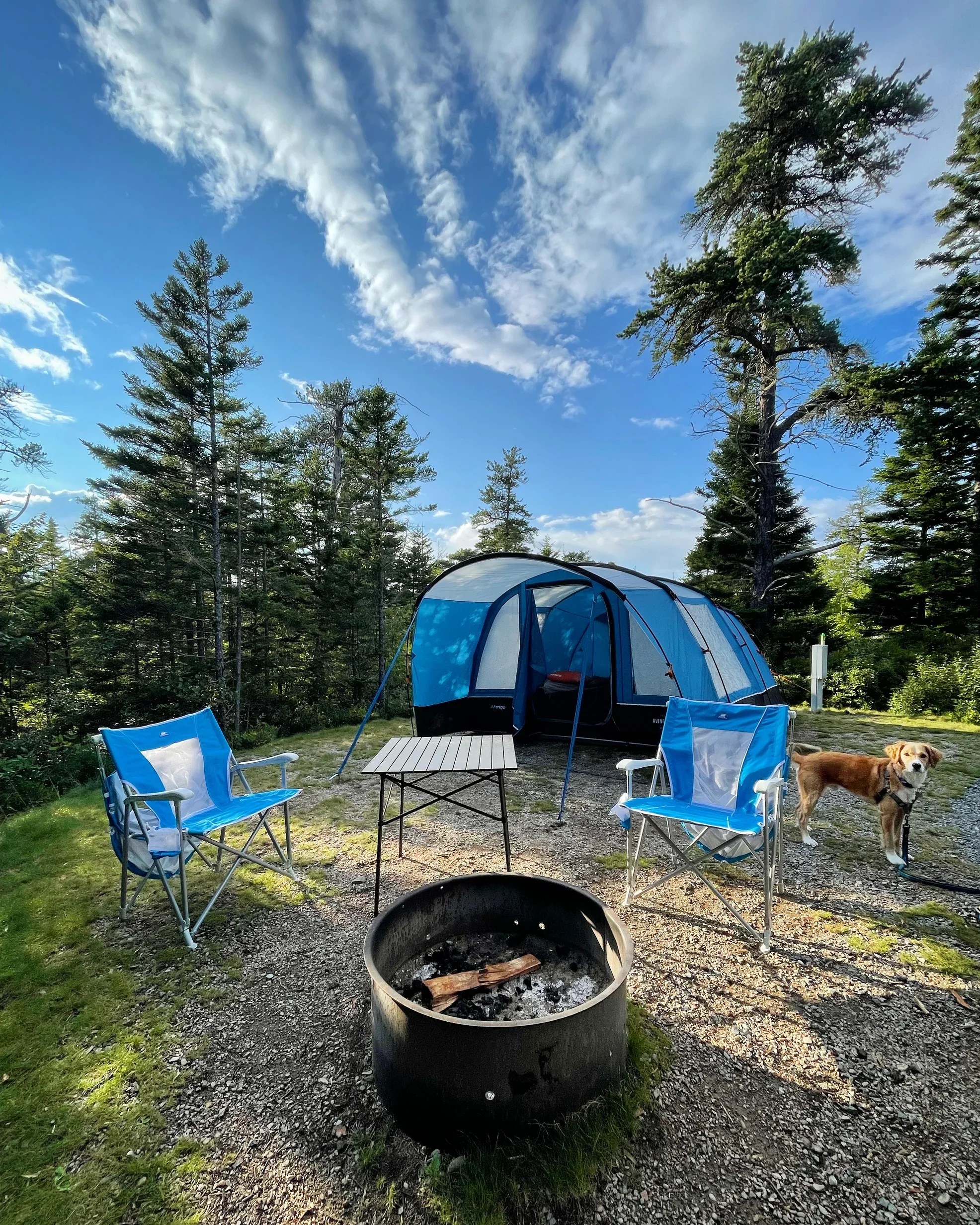 Blue tent and camping chairs at a campsite with a fire pit surrounded by evergreen trees.