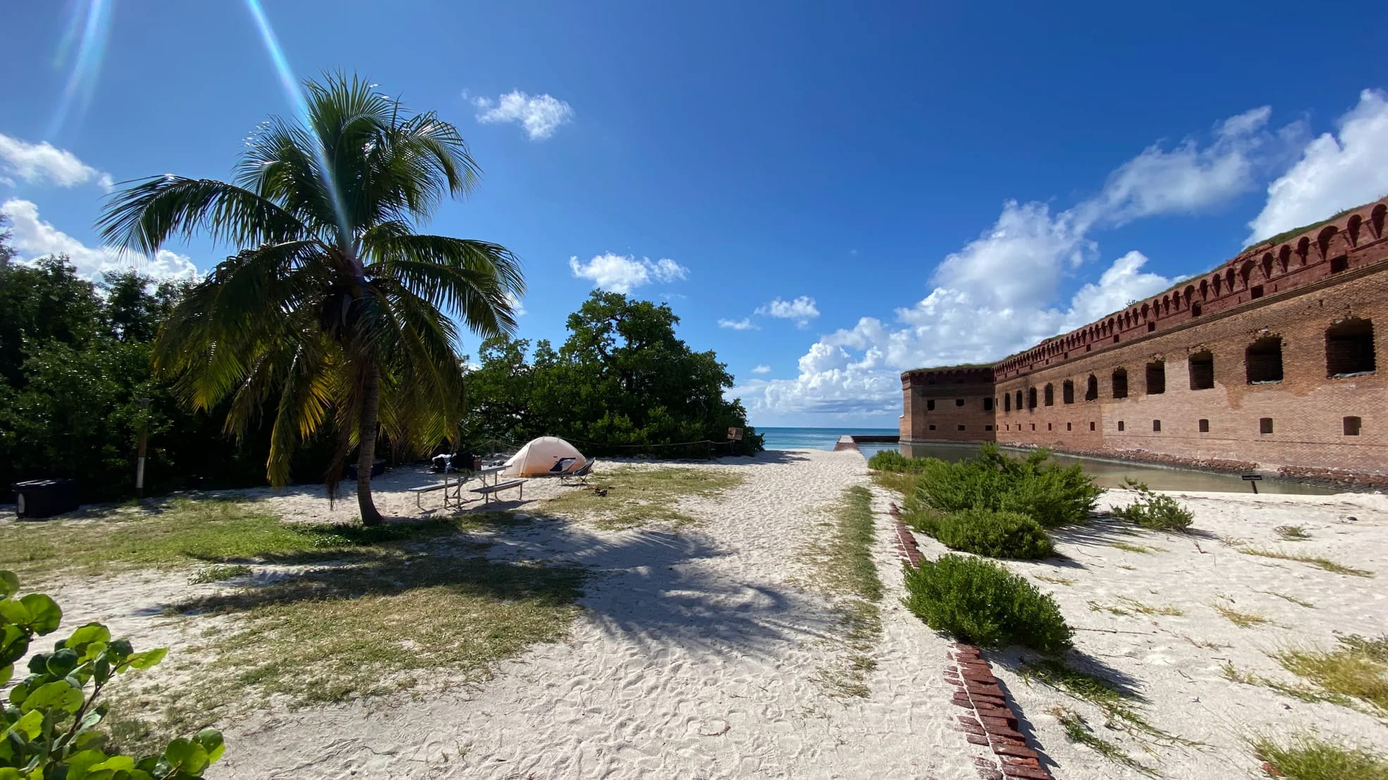 Tent pitched on beach below palm tree on the island of Dry Tortugas National Park.
