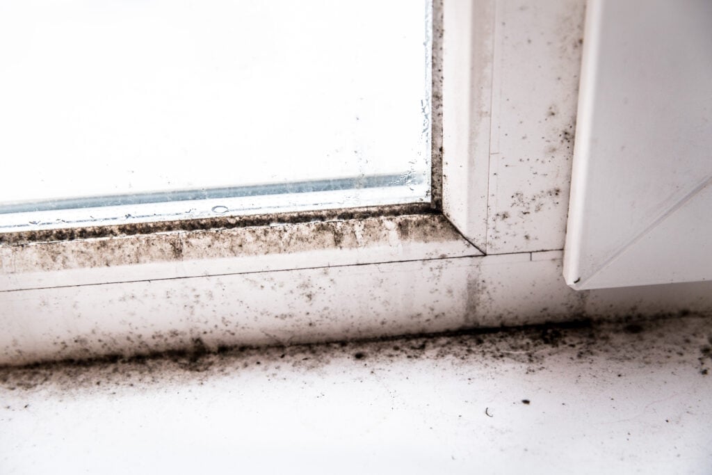 How To Prevent Mold In Your RV During Storage