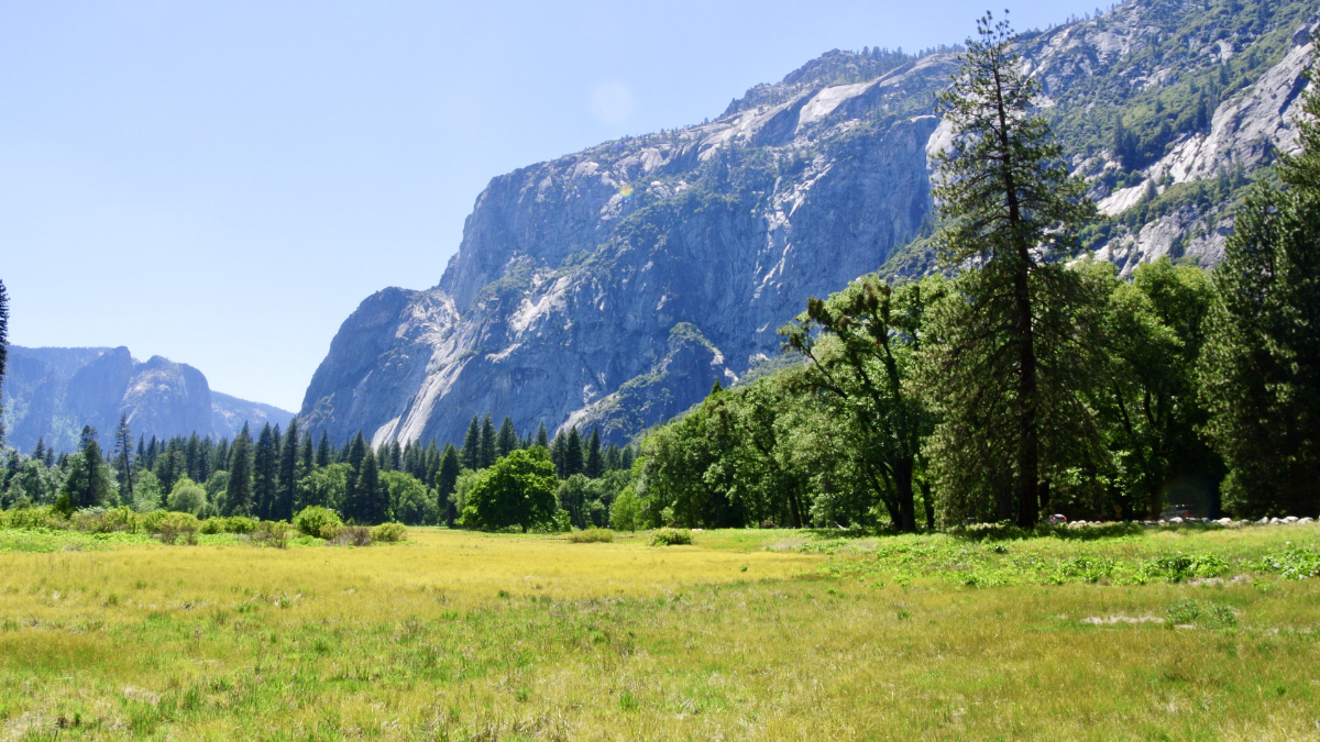 Reservations are No Longer Required for Yosemite National Park