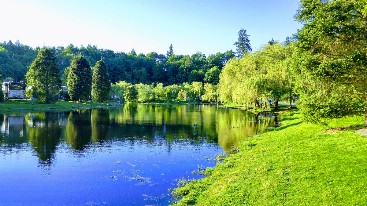Find Solitude and Serenity at Washington’s Lake Pleasant RV Park