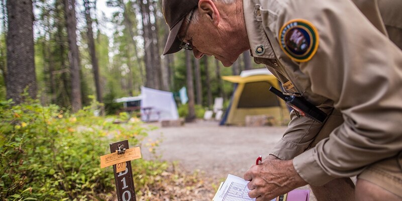 camp host in khaki reading site ticket