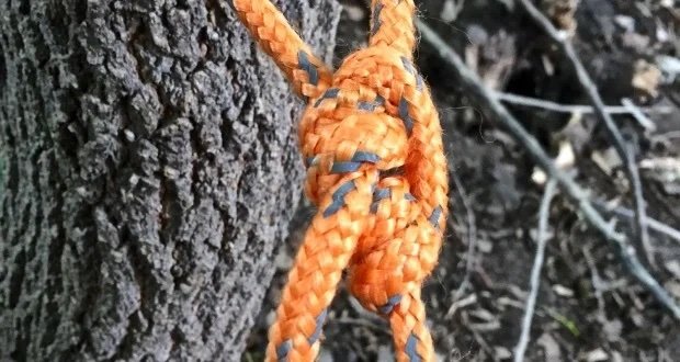 Blake's hitch knot. 