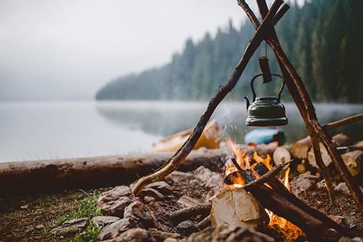 Cuppa Tree? Bear Grylls On How To Make Tea In The Wild