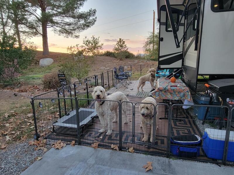RVing With Dogs Made Easy: An Honest Review Of The FXW Dog Playpen