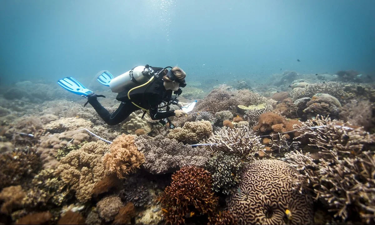 This Volcanic Microbe is Guzzling CO2—Could it Help Slow Climate Change?