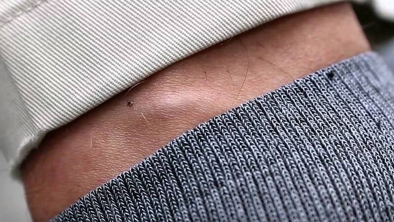 Types of Clothing Ticks Can't Bite Through Can Ticks Bite Through Socks