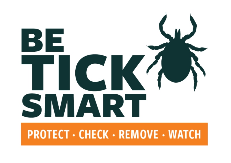 Best Tips for Avoiding Tick Bites 