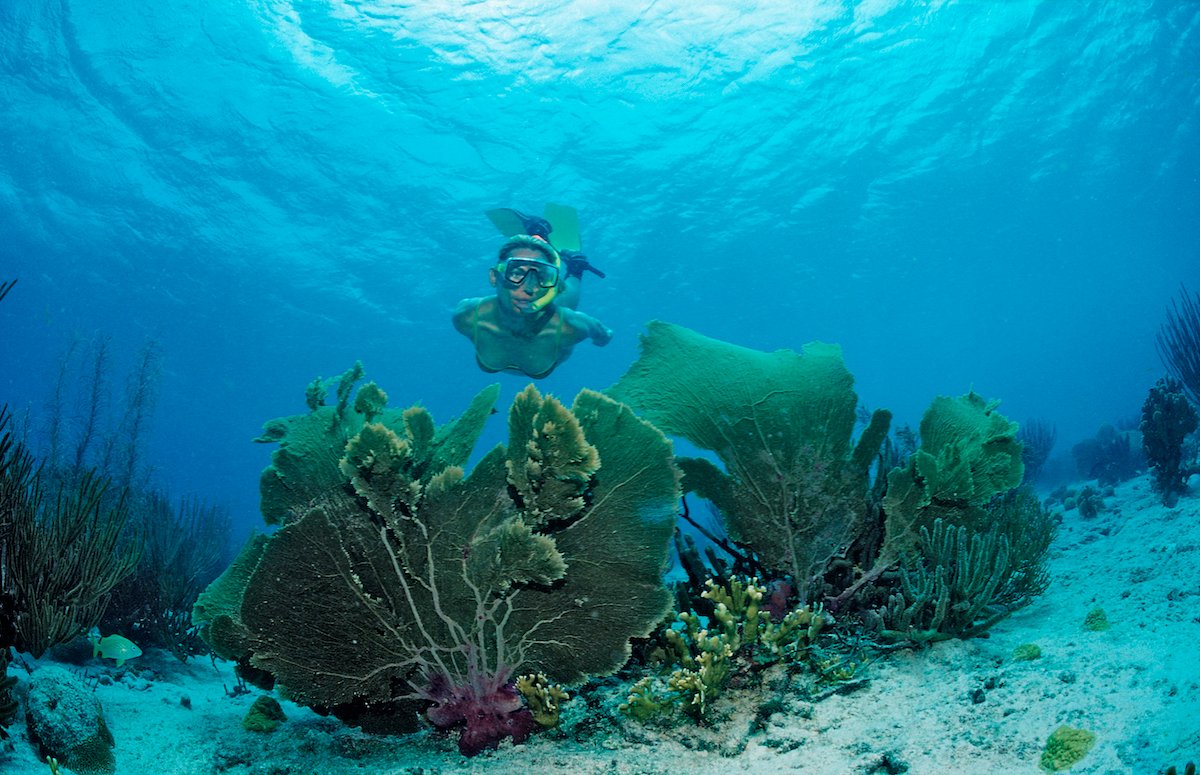 Dive In: 5 Must-Visit Snorkeling Spots in the Caribbean