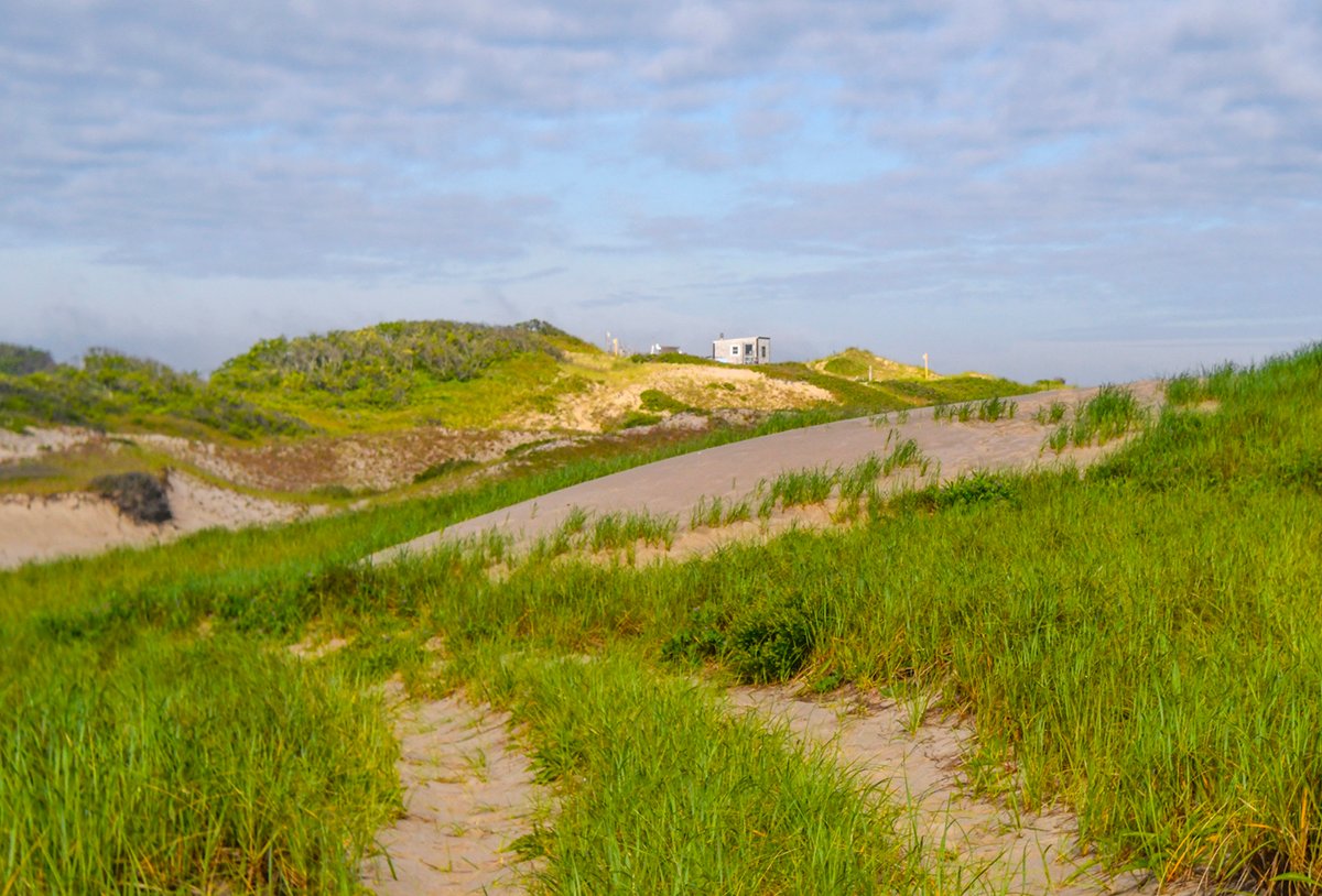 Do You Have What it Takes to Live in Cape Cod’s Sand Dunes?