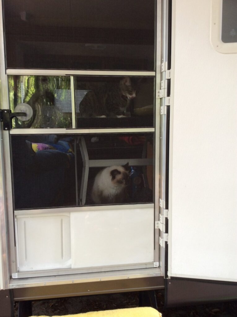 Do RV Screen Doors with Doggie Doors Exist