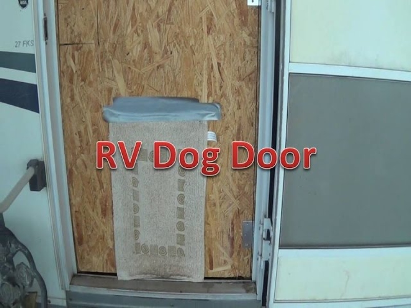 Can You Put a Dog Door in an RV