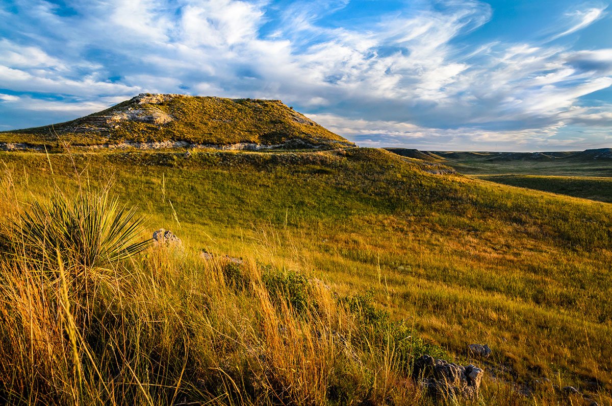 coolest-fossil-hunting-locations-in-america