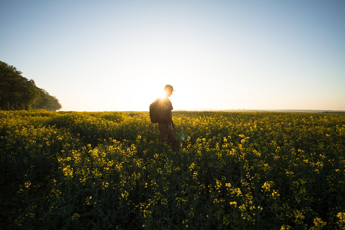 Weird Walks: How To Turn Your Morning Stroll Into a Unique Adventure