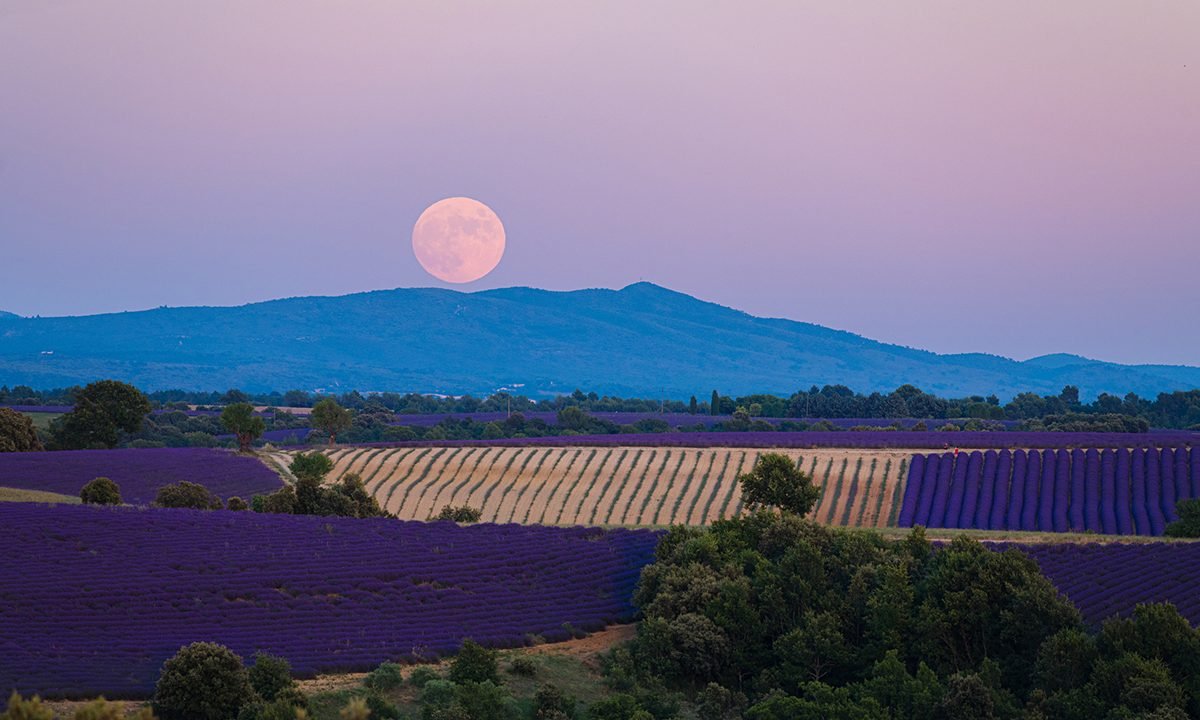 You Won’t Want to Miss the Strawberry Moon this Weekend