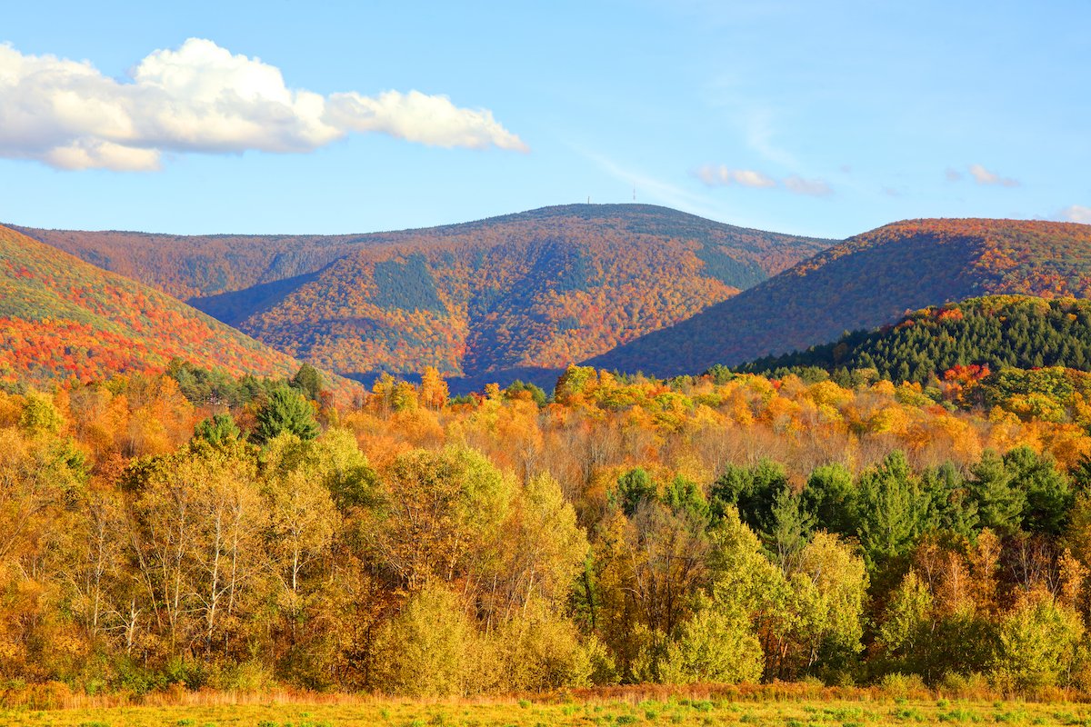 A Traveler’s Guide to Mount Greylock