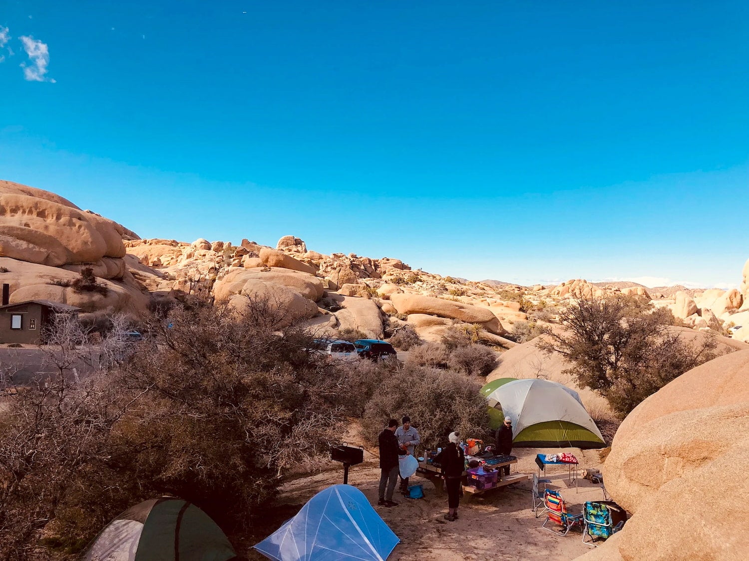 Joshua Tree South Dispersed Camping