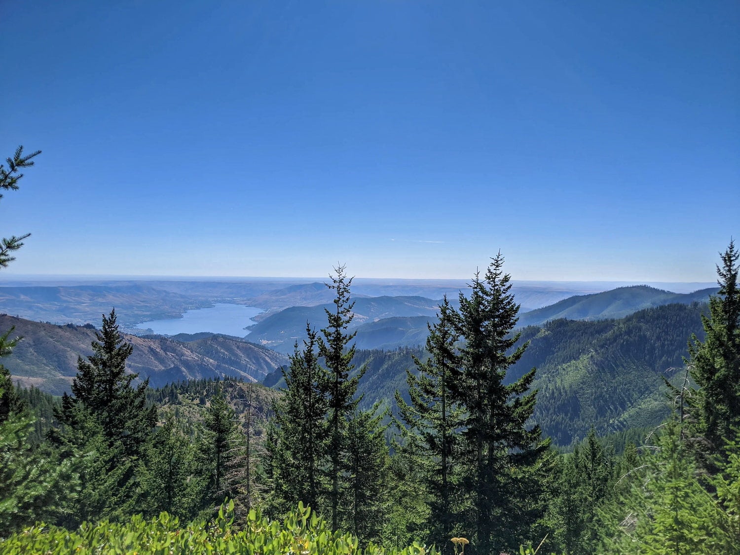 Baldy Mountain Dispersed Camping