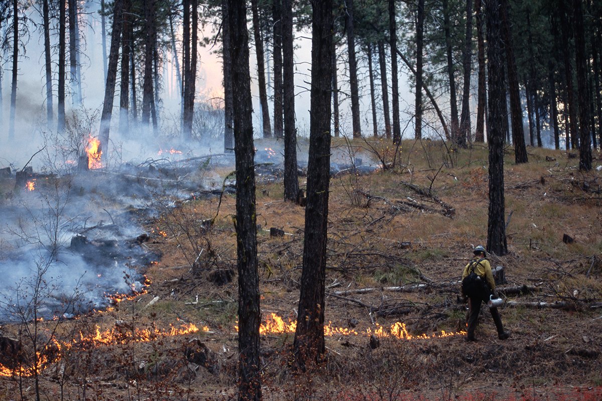 How to Stay Safe Adventuring Near a Prescribed Burn