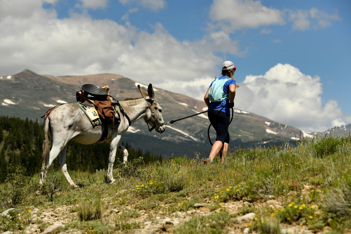 Looking for a New Way to Get Outdoors? Give Pack Burro Racing a Try