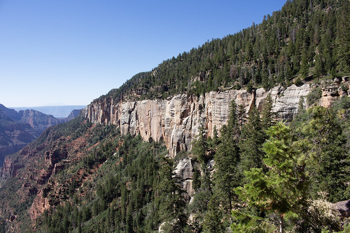 mule-ride-along-the-grand-canyon