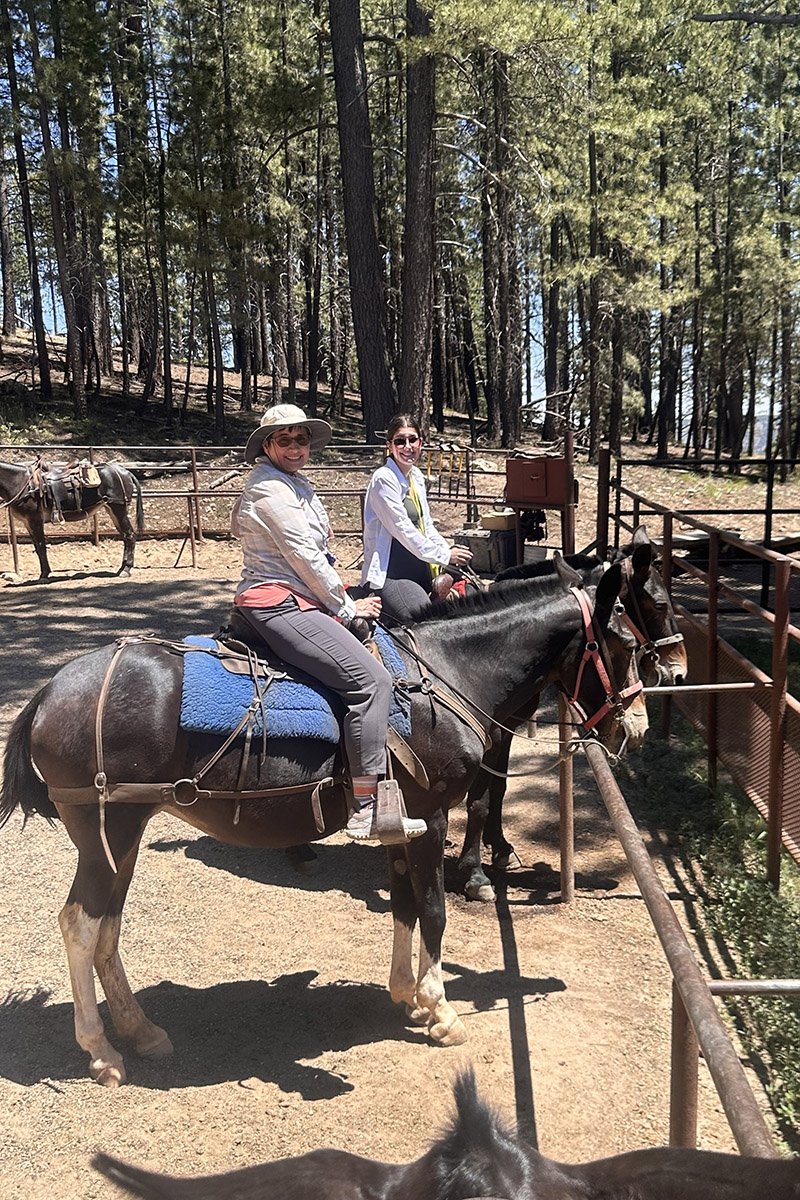 mule-ride-along-the-grand-canyon