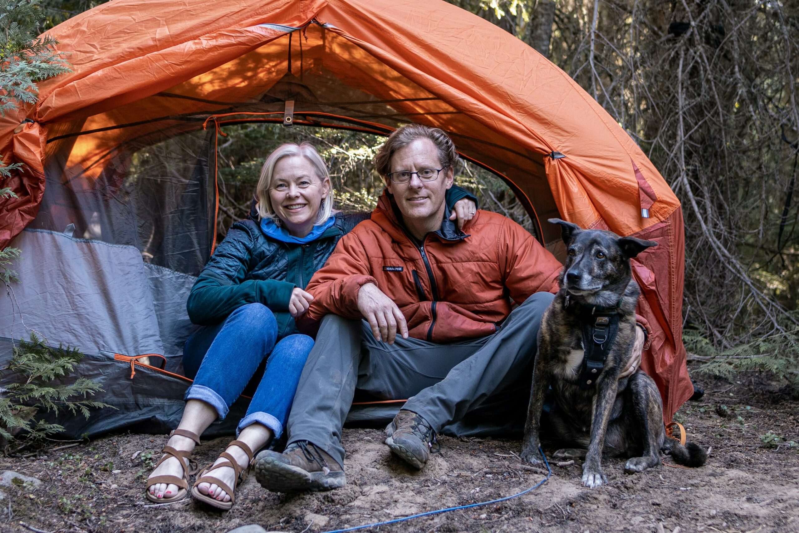The Dyrt Names Most Dog-Friendly Campgrounds in U.S. – RVBusiness – Breaking RV Industry News