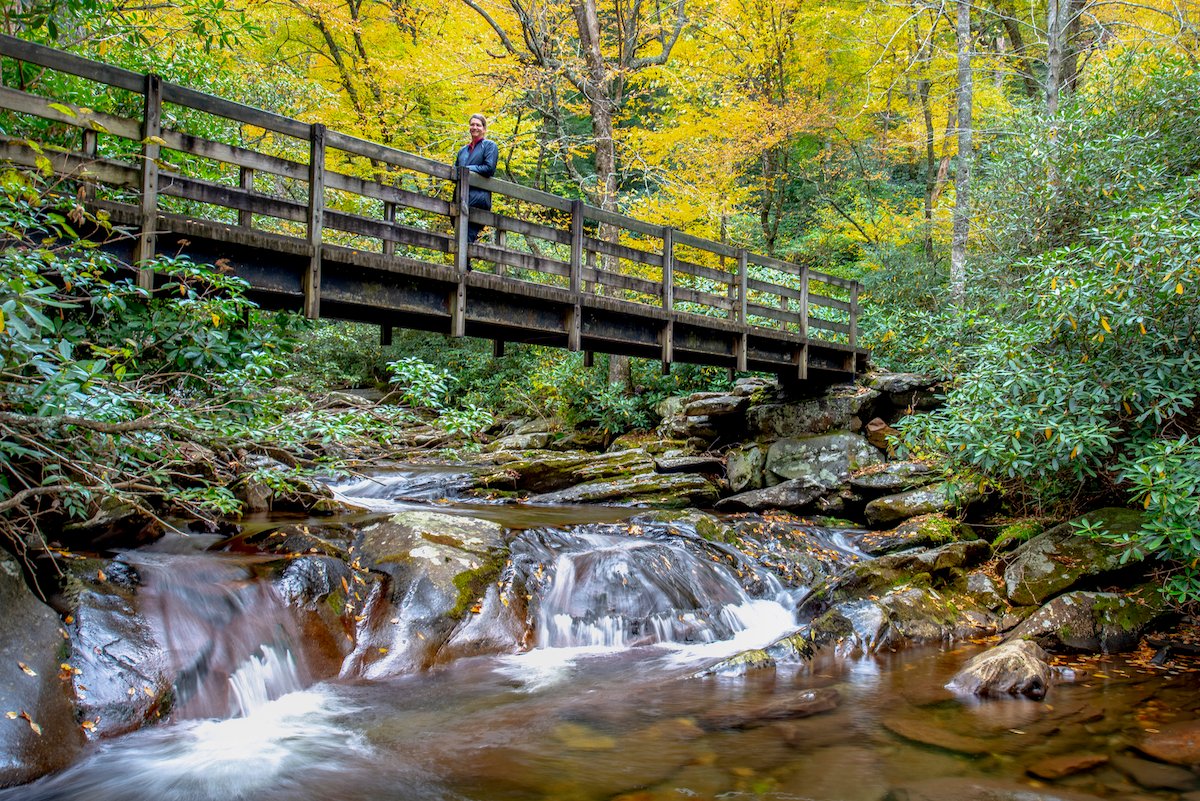 Mountain Waterfalls and Stream with Model