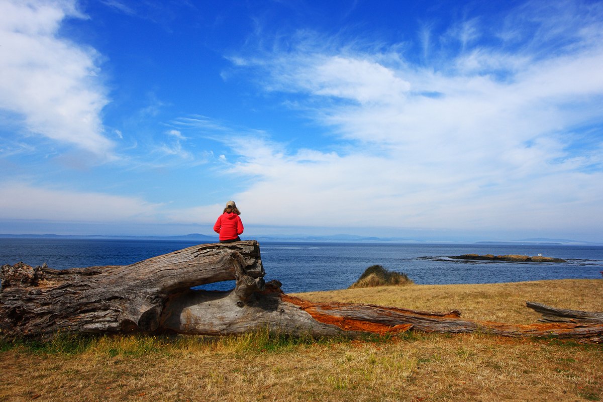 national-parks-seeing-fewer-visitors