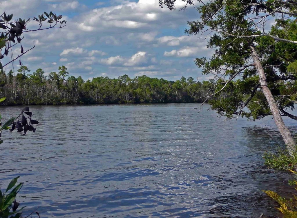 blackwater river campgrounds in florida