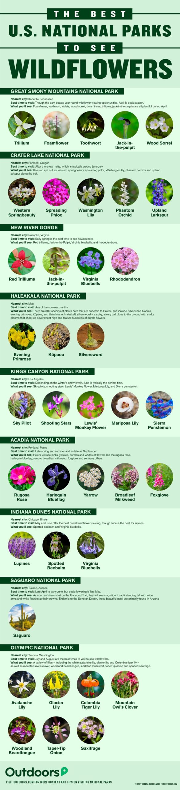 Infographic: Your Guide To The Best National Parks For Seeing Wildflowers 