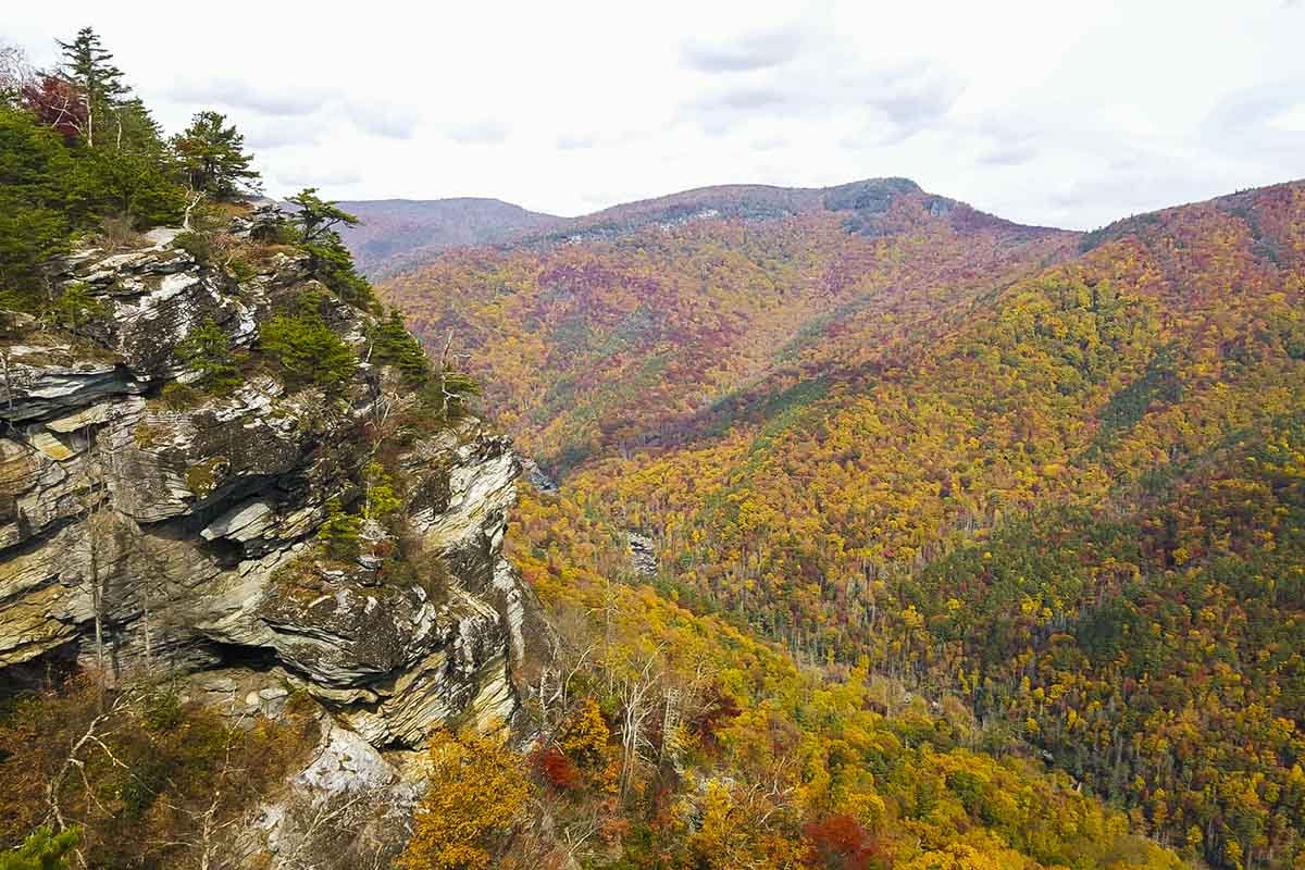 The Grand Canyon of the East: Explore North Carolina’s Linville Gorge