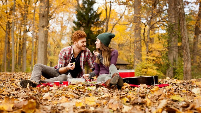 12 Expert Tips for a Cozy Fall Picnic