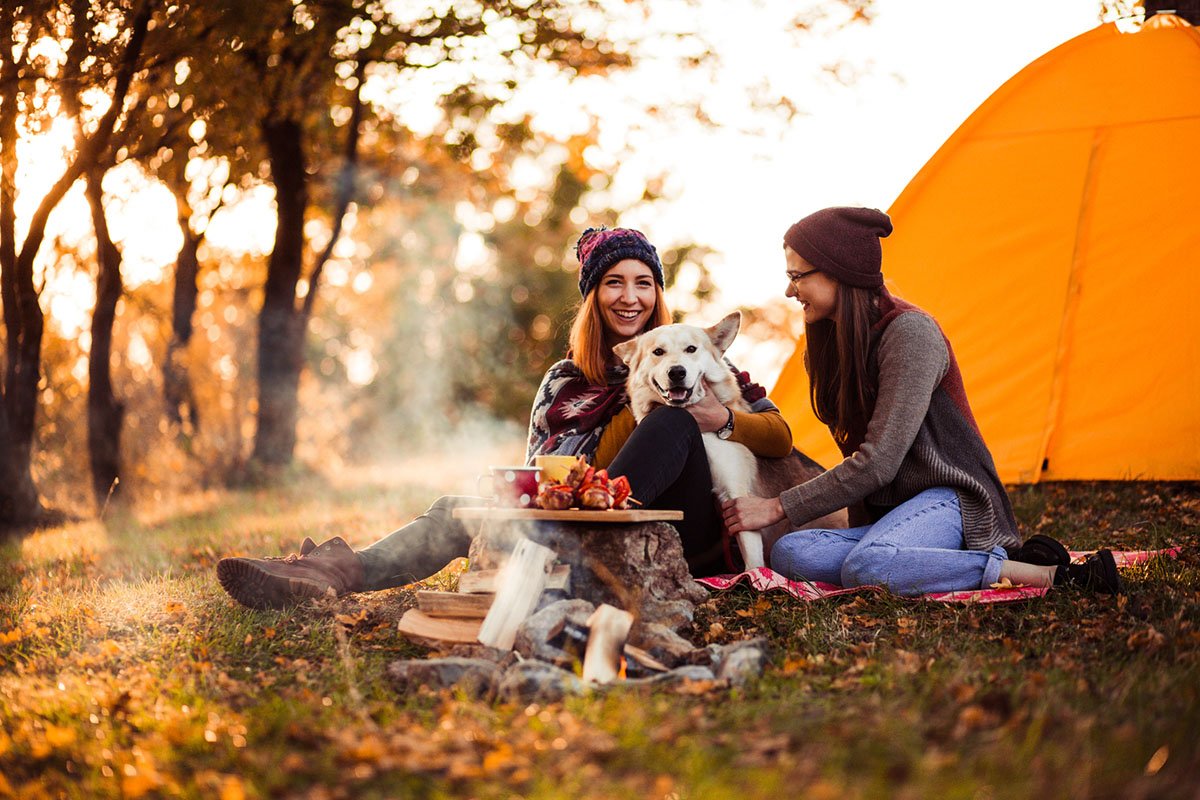 tips-for-a-cozy-fall-picnic