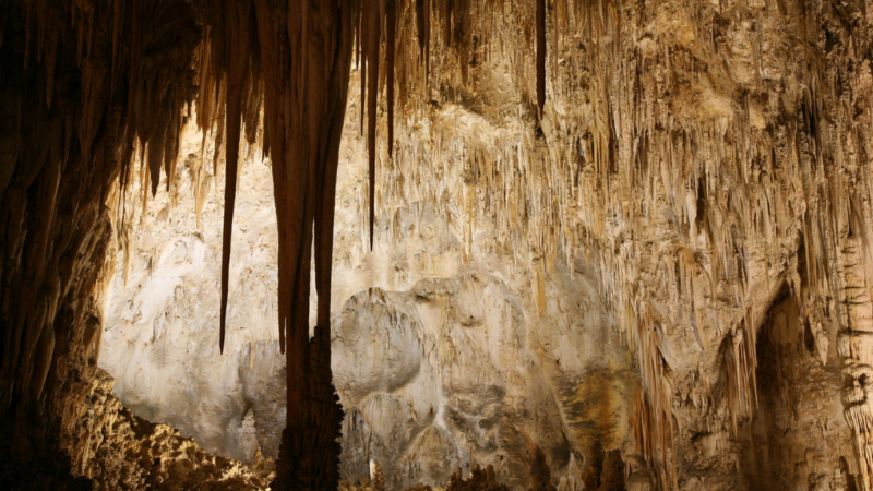 5 Facts You Didn’t Know About Carlsbad Caverns National Park