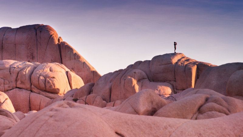 5 Things You Didn’t Know About Joshua Tree National Park