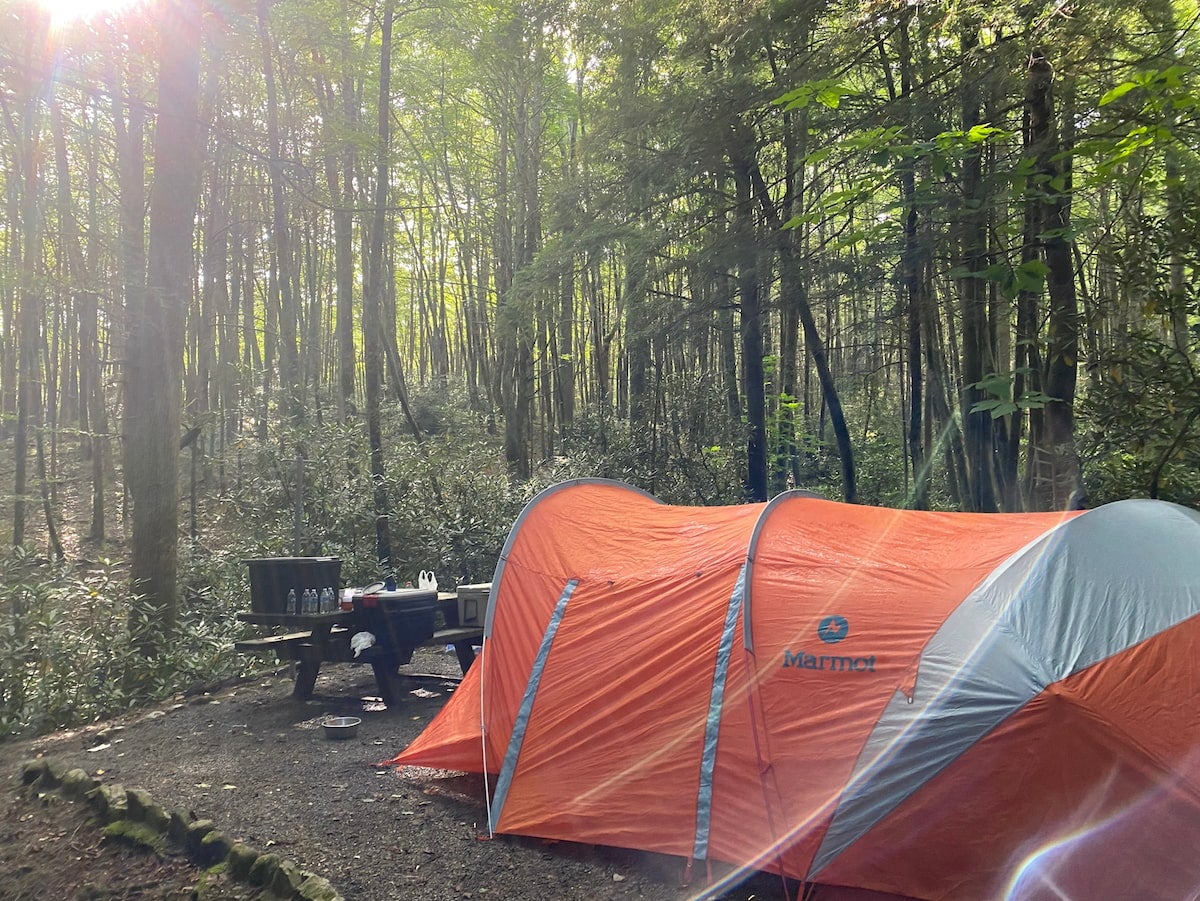 Unique camping trips - Beartree campground