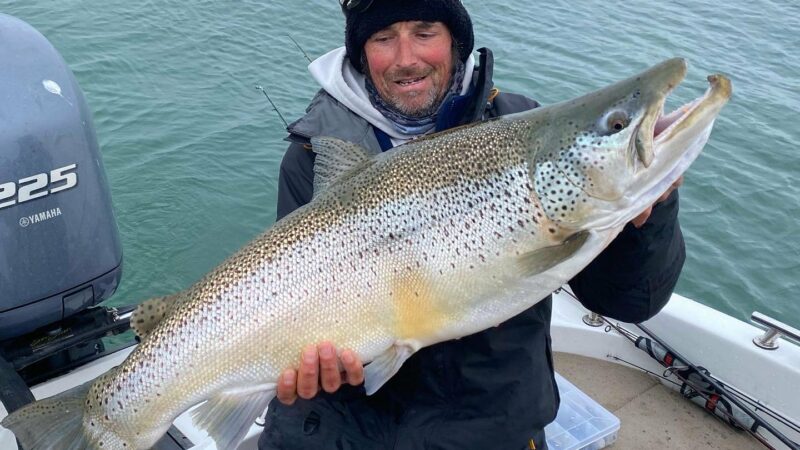 Belly up to the famed Niagara Bar in New York for big brown trout – Outdoor News