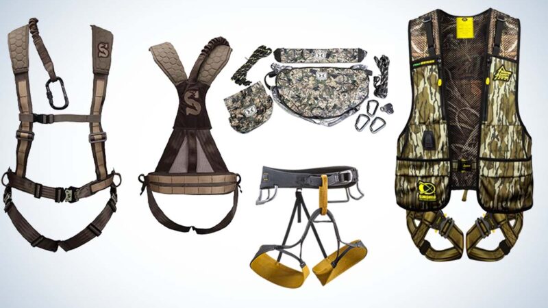 Best Tree Stand Harnesses of 2023