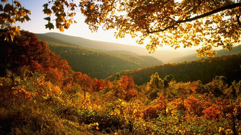 Best U.S. National Parks for Fall Foliage