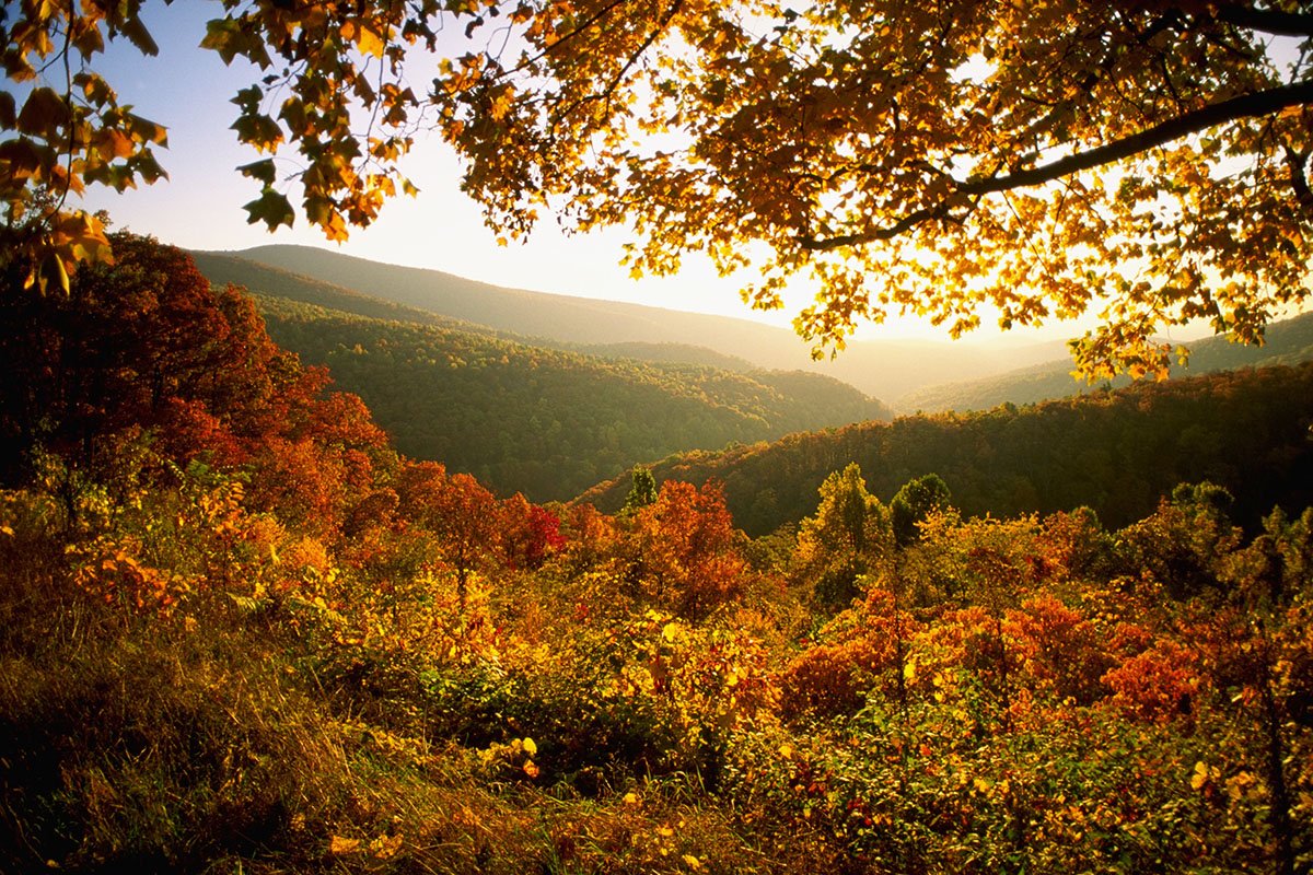 best-US-National-Parks-for-fall-foliage