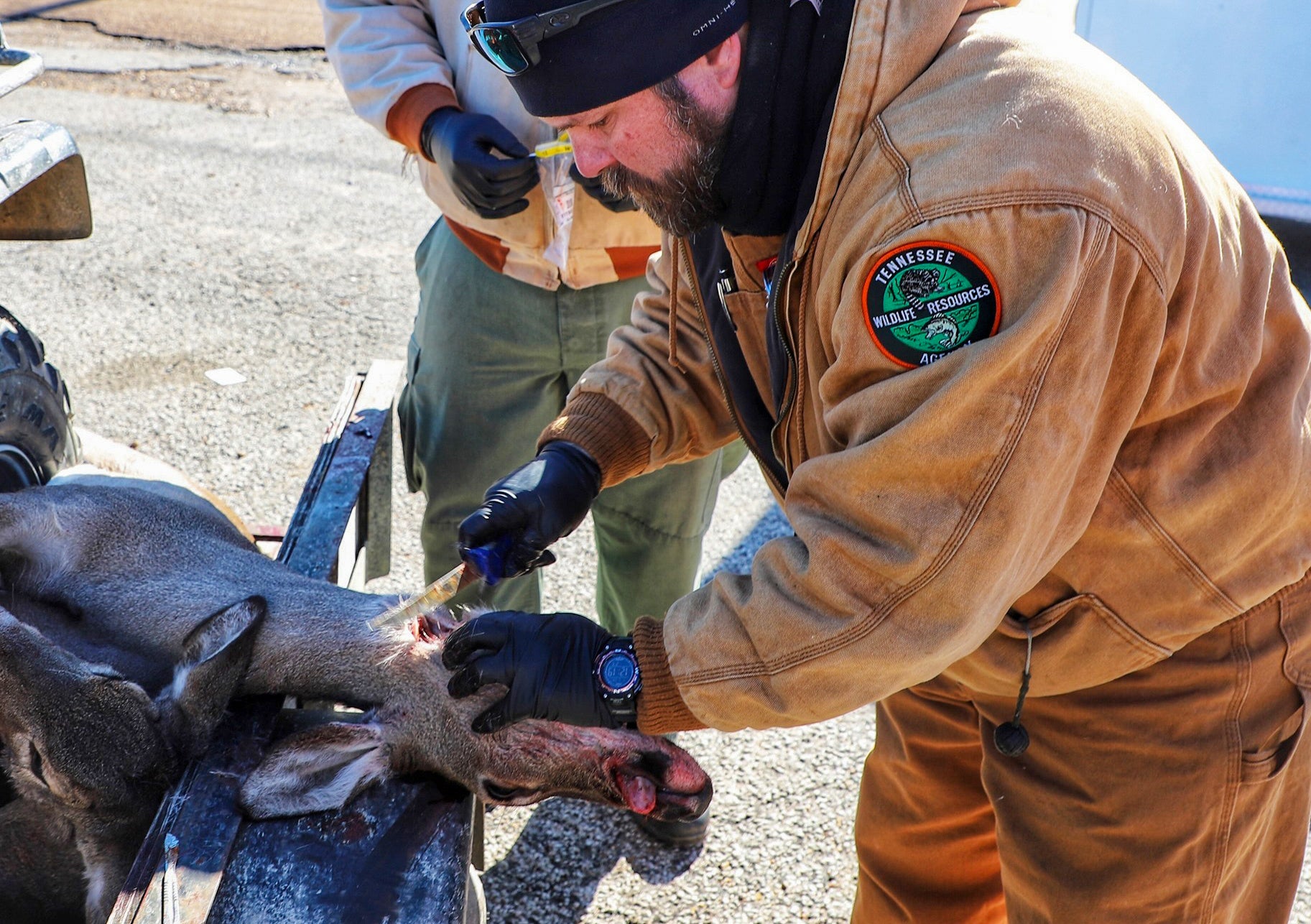 tennessee wildlife resources agency tests for CWD