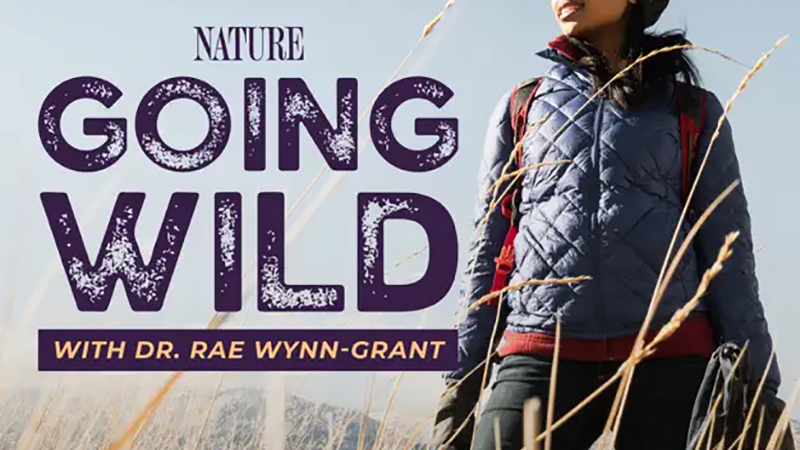 Dr. Rae Wynn-Grant on the New Season of Her Conservation-Inspired Podcast ‘Going Wild’