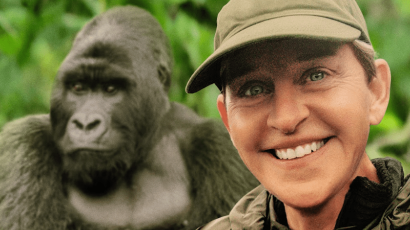 Ellen Saves the Gorillas in New Documentary