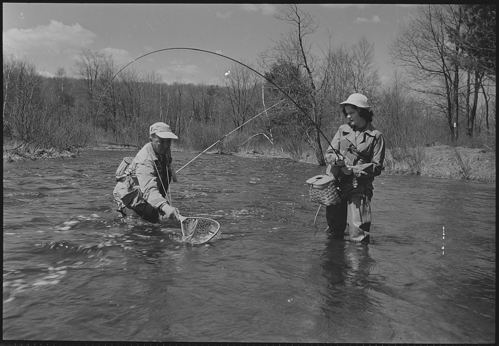 (Original Caption) Helping her land her trout, Tunkhannock Creek, Pocono Mountains, Pennsylvania.