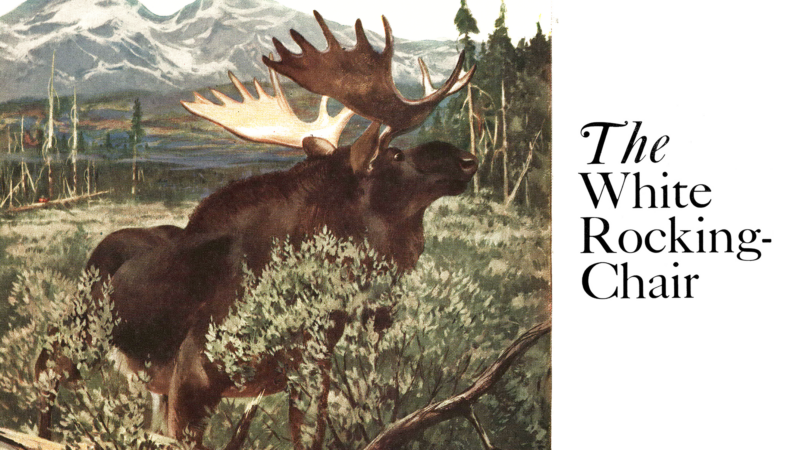 How Not to Kill a Moose, from the Archives