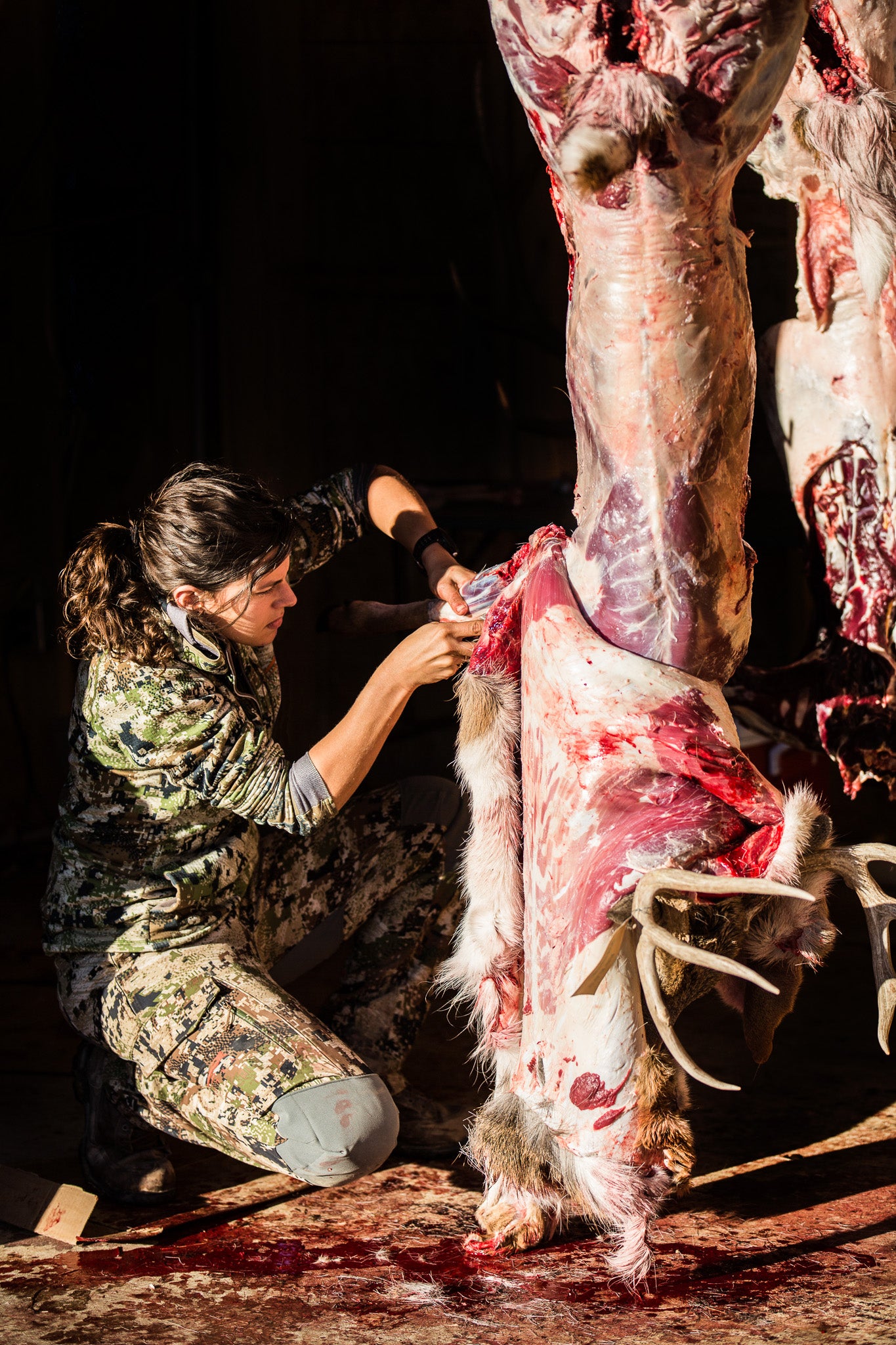 Skinning a deer in a skinning shed.