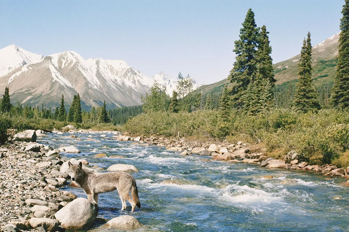 outdoor-locations-that-look-like-bob-ross-paintings