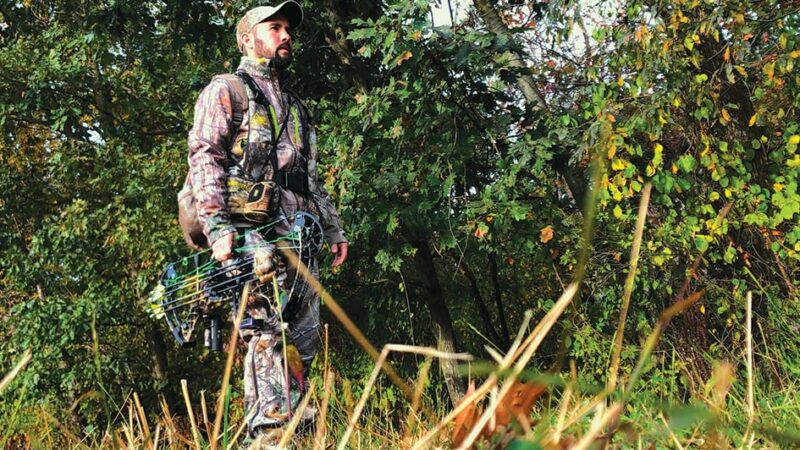 Low-impact strategies for early-season bowhunting success – Outdoor News