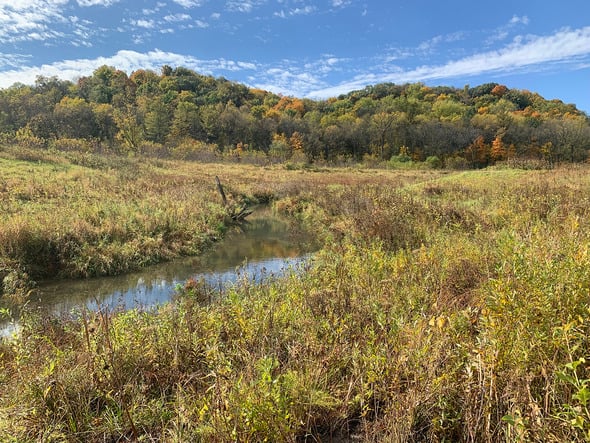 Minnesota Outdoor Heritage Council looks ahead to 2025 fiscal year proposals – Outdoor News